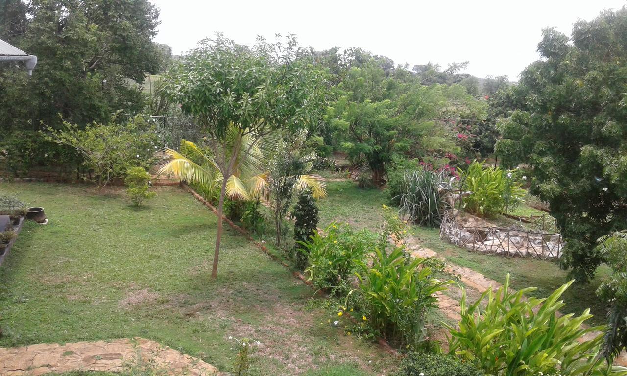 Travelway Village Habarana Exterior photo
